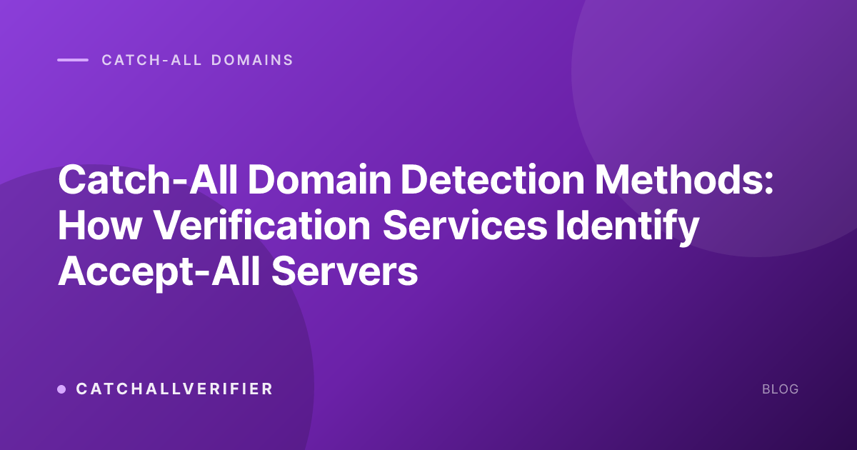 Catch-All Domain Detection Methods: How Verification Services Identify Accept-All Servers