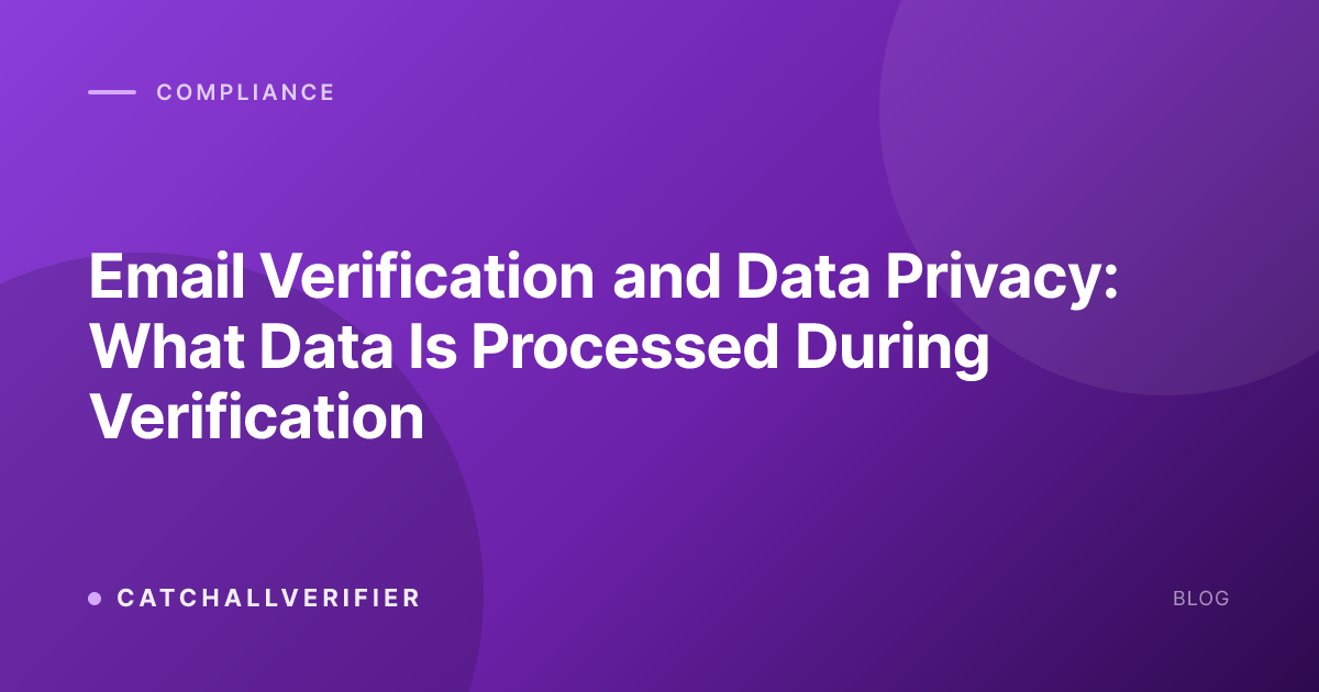 Email Verification and Data Privacy: What Data Is Processed During Verification